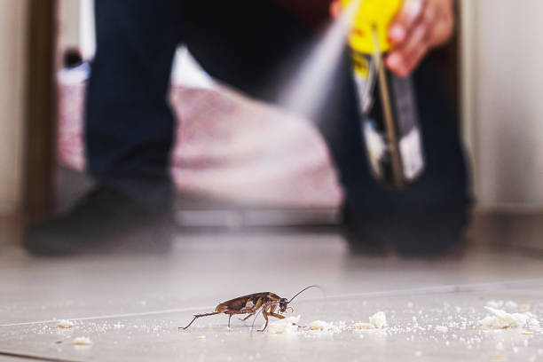 Best Ant Control Services  in Hershey, PA